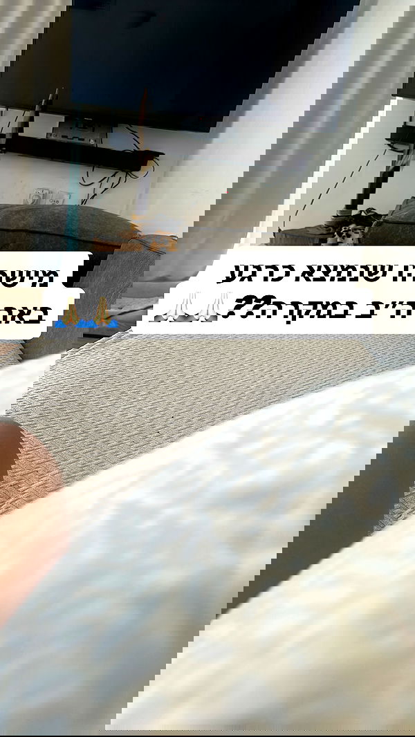 shelly_.mor image ~ Altpins