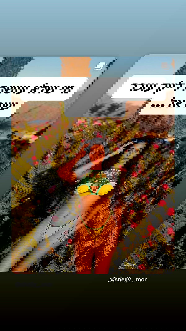 shelly_.mor image ~ Altpins