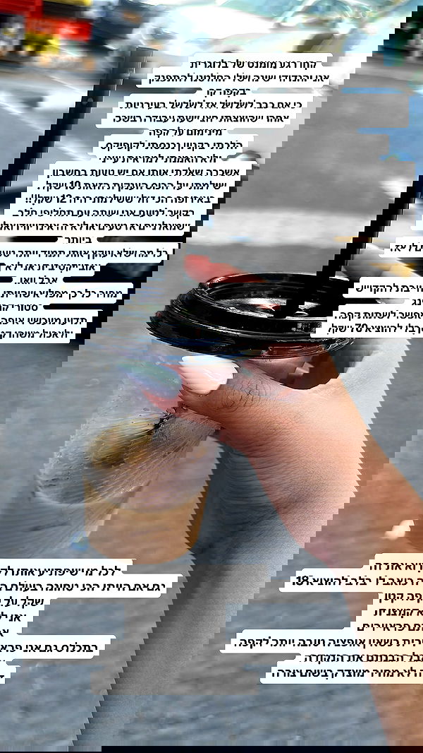 shelly_.mor image ~ Altpins