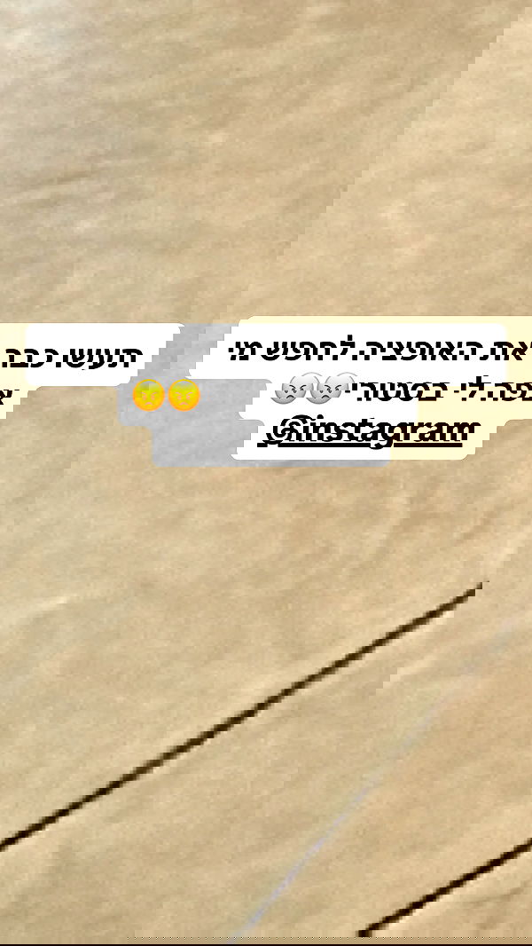 shelly_.mor image ~ Altpins