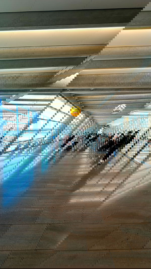 shelly_.mor image ~ Altpins