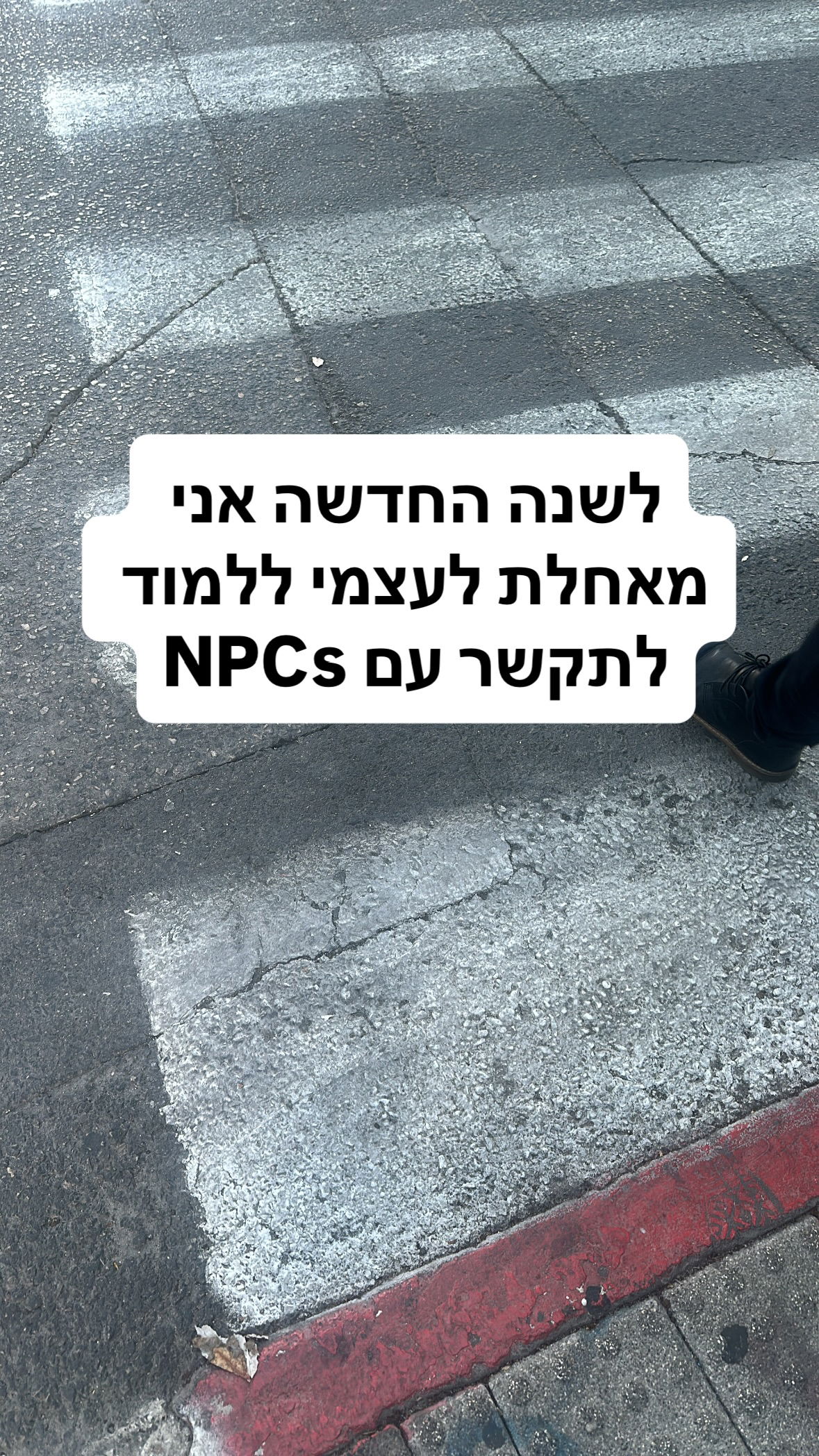 shelly_.mor instagram image archive image