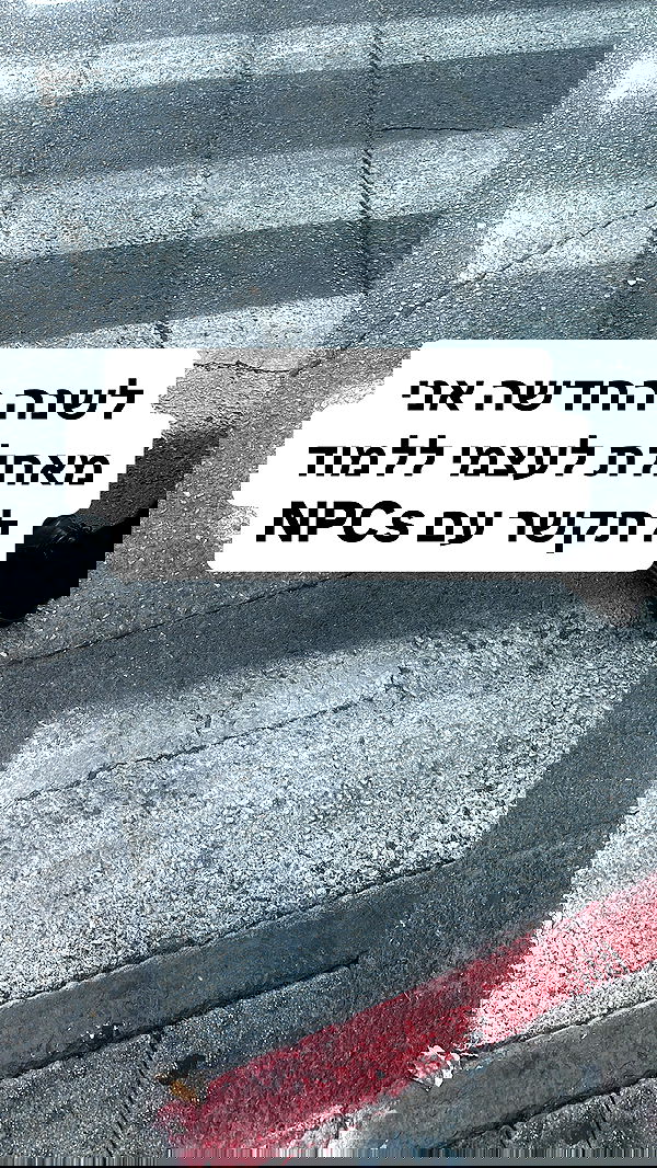 shelly_.mor image ~ Altpins