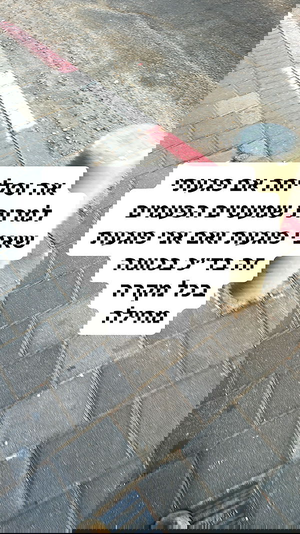 shelly_.mor image ~ Altpins