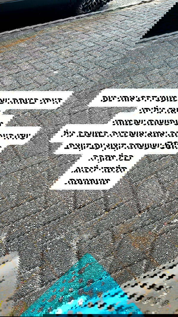 shelly_.mor image ~ Altpins