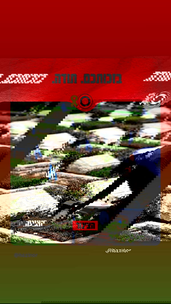 shelly_.mor image ~ Altpins