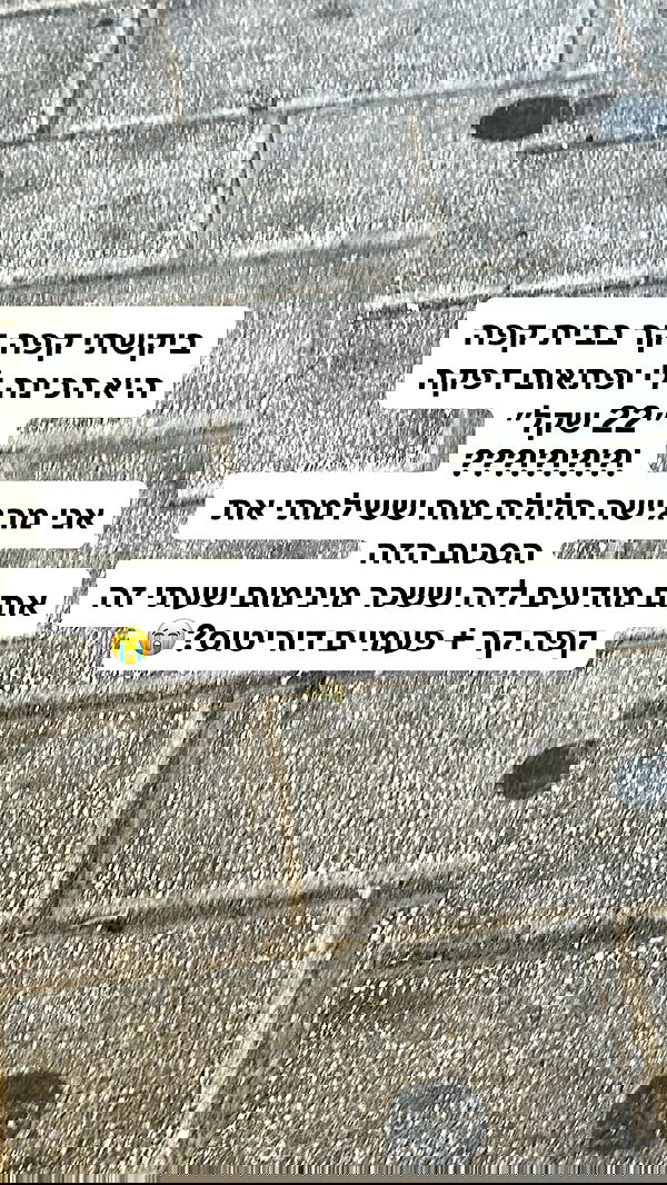 shelly_.mor image ~ Altpins