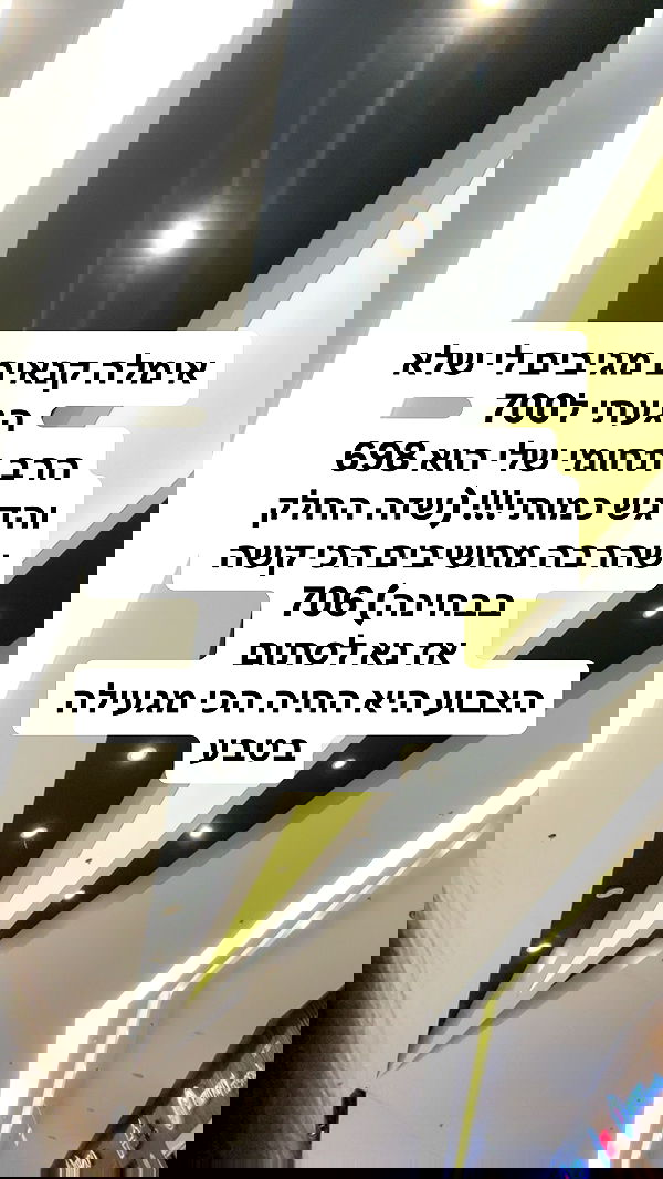 shelly_.mor image ~ Altpins