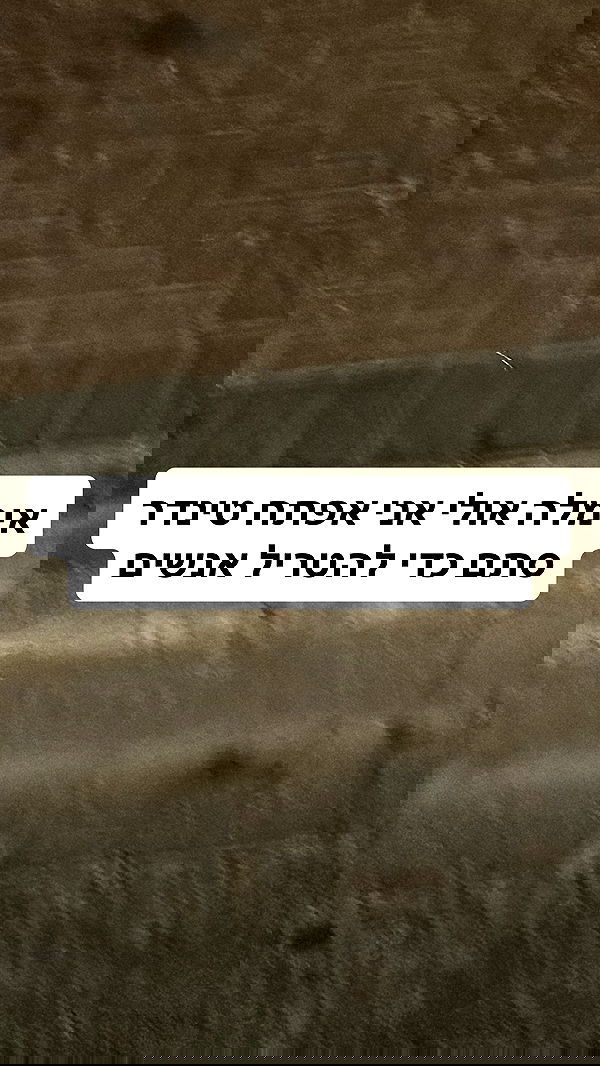 shelly_.mor image ~ Altpins