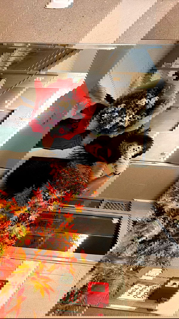 shelly_.mor image ~ Altpins