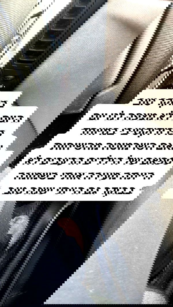 shelly_.mor image ~ Altpins