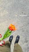 shelly_roberin Altpins Profile Picture