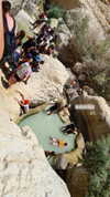 shelly_roberin Altpins Profile Picture