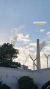 shelly_roberin Altpins Profile Picture
