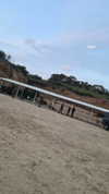 shelly_roberin Altpins Profile Picture