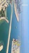 shelly_roberin Altpins Profile Picture