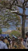 shelly_roberin Altpins Profile Picture