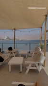 shelly_roberin Altpins Profile Picture