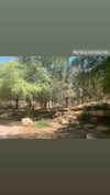 shelly_roberin Altpins Profile Picture