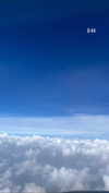 shelly_roberin Altpins Profile Picture
