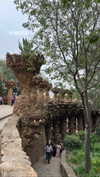 shelly_roberin Altpins Profile Picture