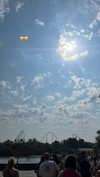 shelly_roberin Altpins Profile Picture