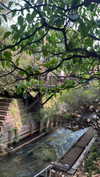 shelly_roberin Altpins Profile Picture