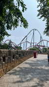 shelly_roberin Altpins Profile Picture