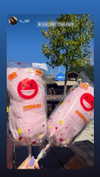 shelly_roberin Altpins Profile Picture