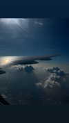 shelly_roberin Altpins Profile Picture