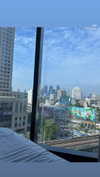 shelly_roberin Altpins Profile Picture