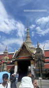 shelly_roberin Altpins Profile Picture