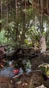 shelly_roberin Altpins Profile Picture