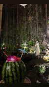 shelly_roberin Altpins Profile Picture