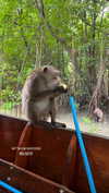 shelly_roberin Altpins Profile Picture