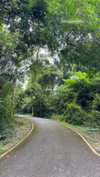 shelly_roberin Altpins Profile Picture