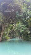 shelly_roberin Altpins Profile Picture