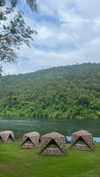 shelly_roberin Altpins Profile Picture