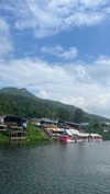 shelly_roberin Altpins Profile Picture