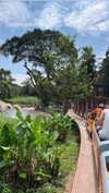 shelly_roberin Altpins Profile Picture