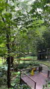 shelly_roberin Altpins Profile Picture