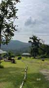 shelly_roberin Altpins Profile Picture