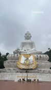 shelly_roberin Altpins Profile Picture