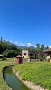 shelly_roberin Altpins Profile Picture