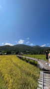 shelly_roberin Altpins Profile Picture