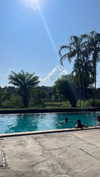 shelly_roberin Altpins Profile Picture