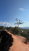shelly_roberin Altpins Profile Picture