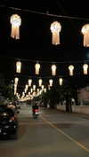 shelly_roberin Altpins Profile Picture