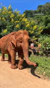 shelly_roberin Altpins Profile Picture