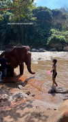 shelly_roberin Altpins Profile Picture